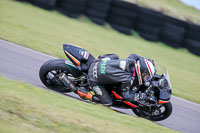 PJ-Motorsport-2019;anglesey-no-limits-trackday;anglesey-photographs;anglesey-trackday-photographs;enduro-digital-images;event-digital-images;eventdigitalimages;no-limits-trackdays;peter-wileman-photography;racing-digital-images;trac-mon;trackday-digital-images;trackday-photos;ty-croes